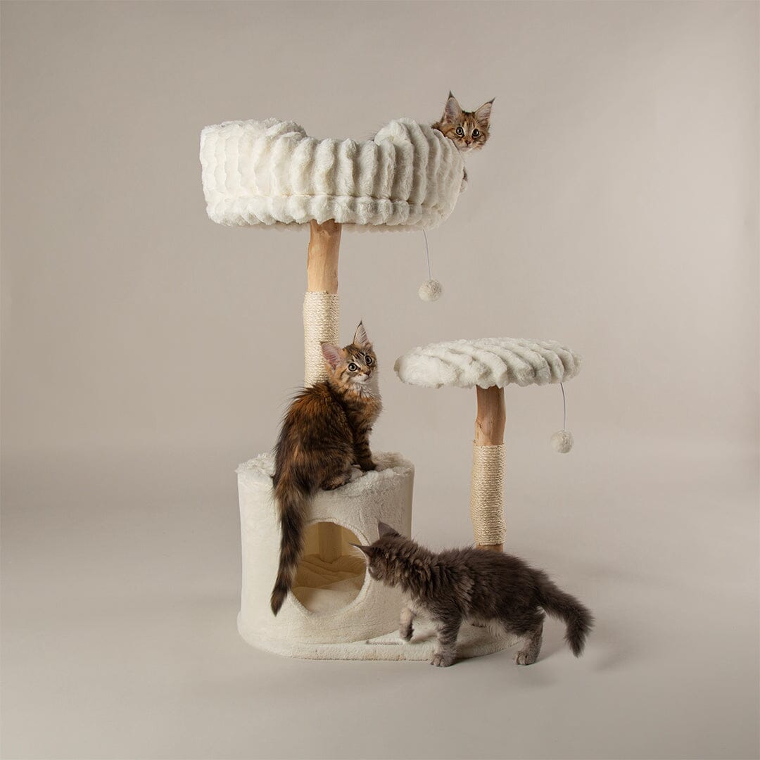 Scruffs Alpine Colorado Cat Tree - Cream