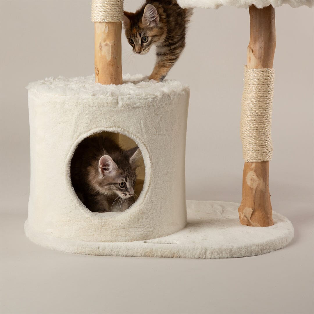 Scruffs Alpine Colorado Cat Tree - Cream