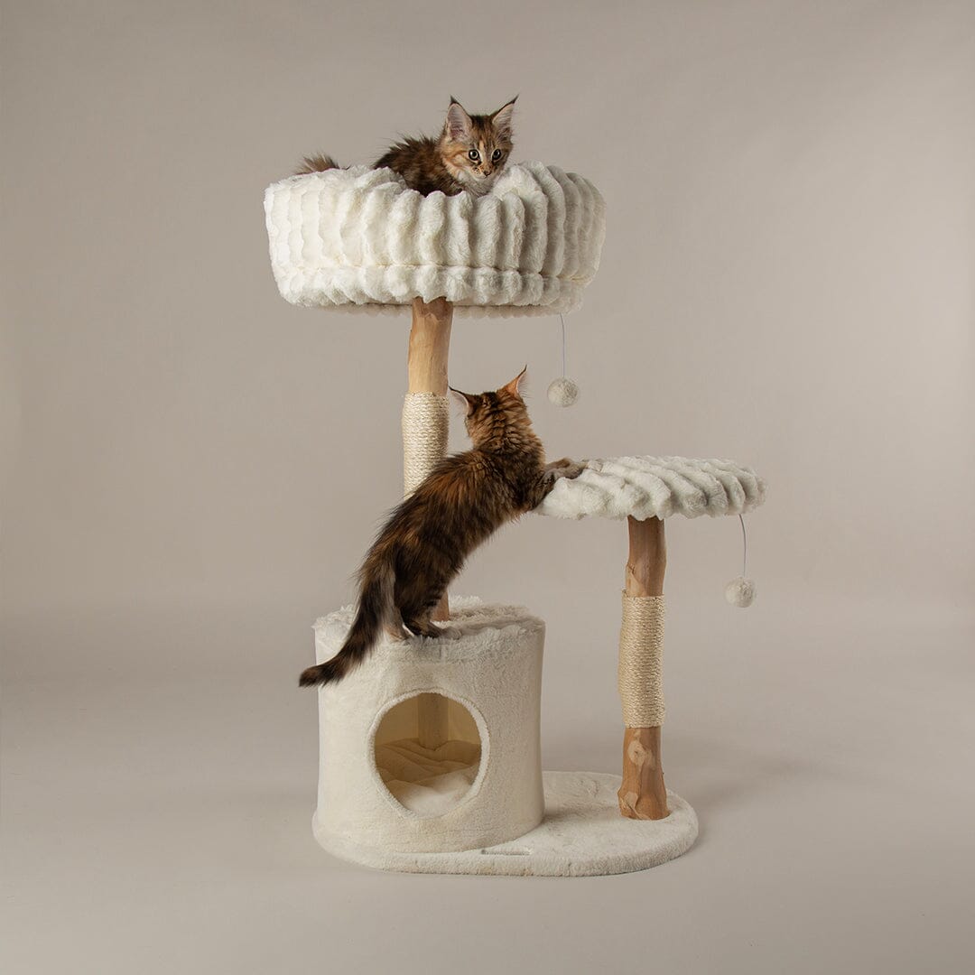 Scruffs Alpine Colorado Cat Tree - Cream