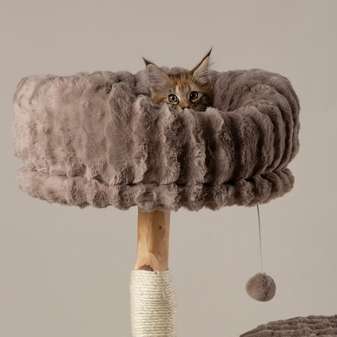 Scruffs Alpine Colorado Cat Tree - Taupe