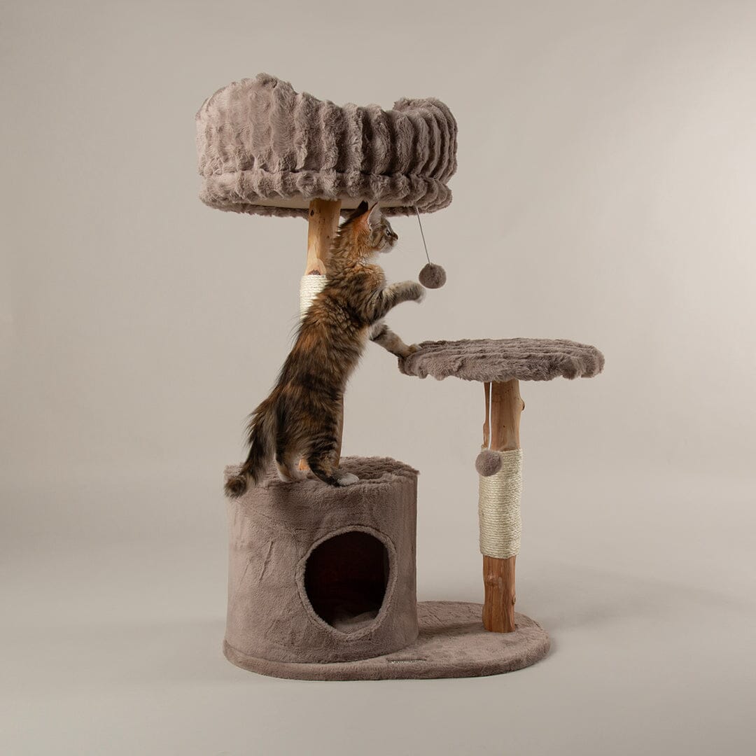 Scruffs Alpine Colorado Cat Tree - Taupe