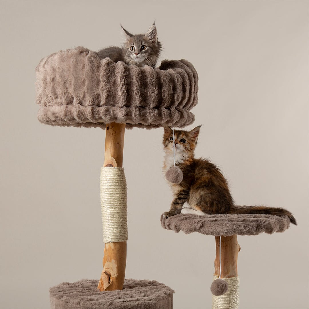 Scruffs Alpine Colorado Cat Tree - Taupe