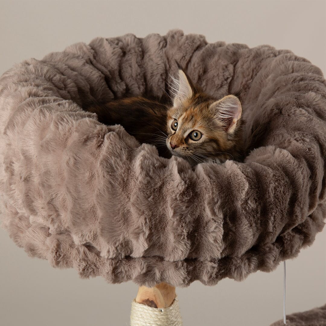 Scruffs Alpine Colorado Cat Tree - Taupe