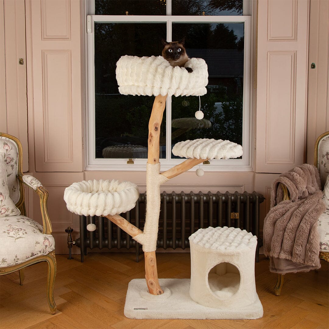 Scruffs Alpine Pyrenees Cat Tree - Cream