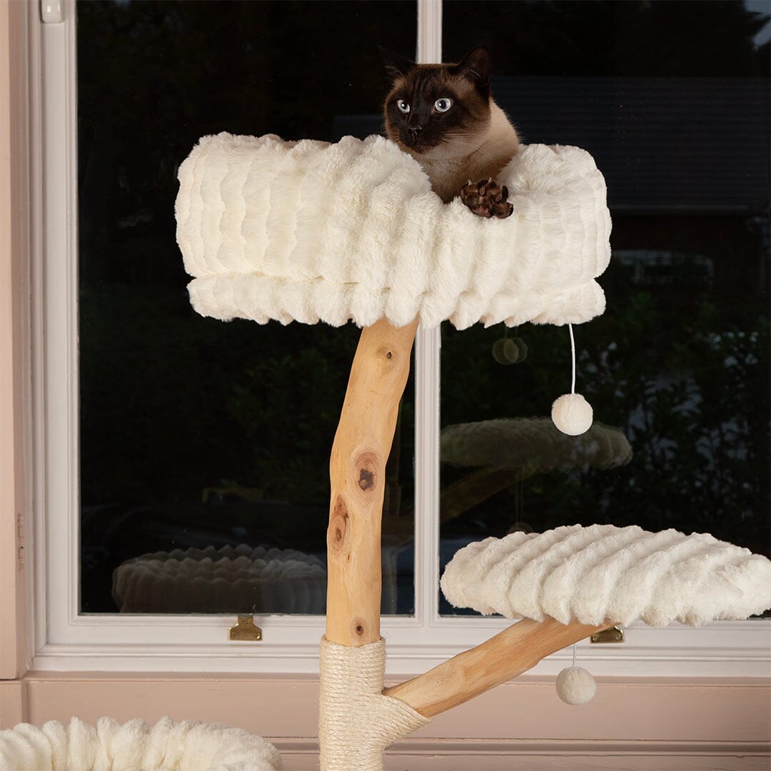Scruffs Alpine Pyrenees Cat Tree - Cream