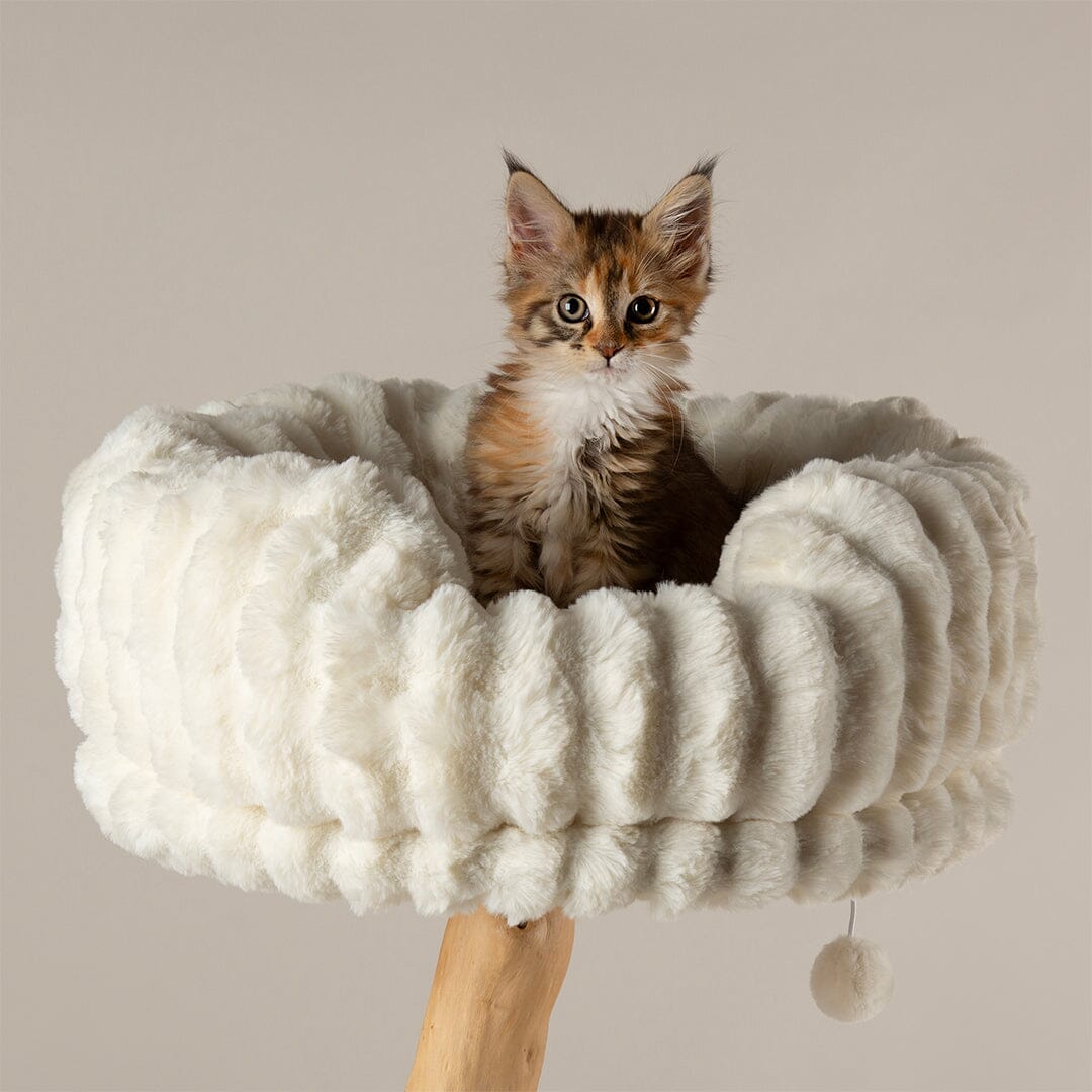 Scruffs Alpine Pyrenees Cat Tree - Cream