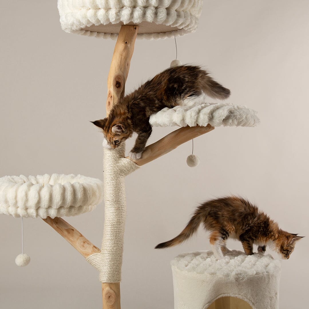 Scruffs Alpine Pyrenees Cat Tree - Cream