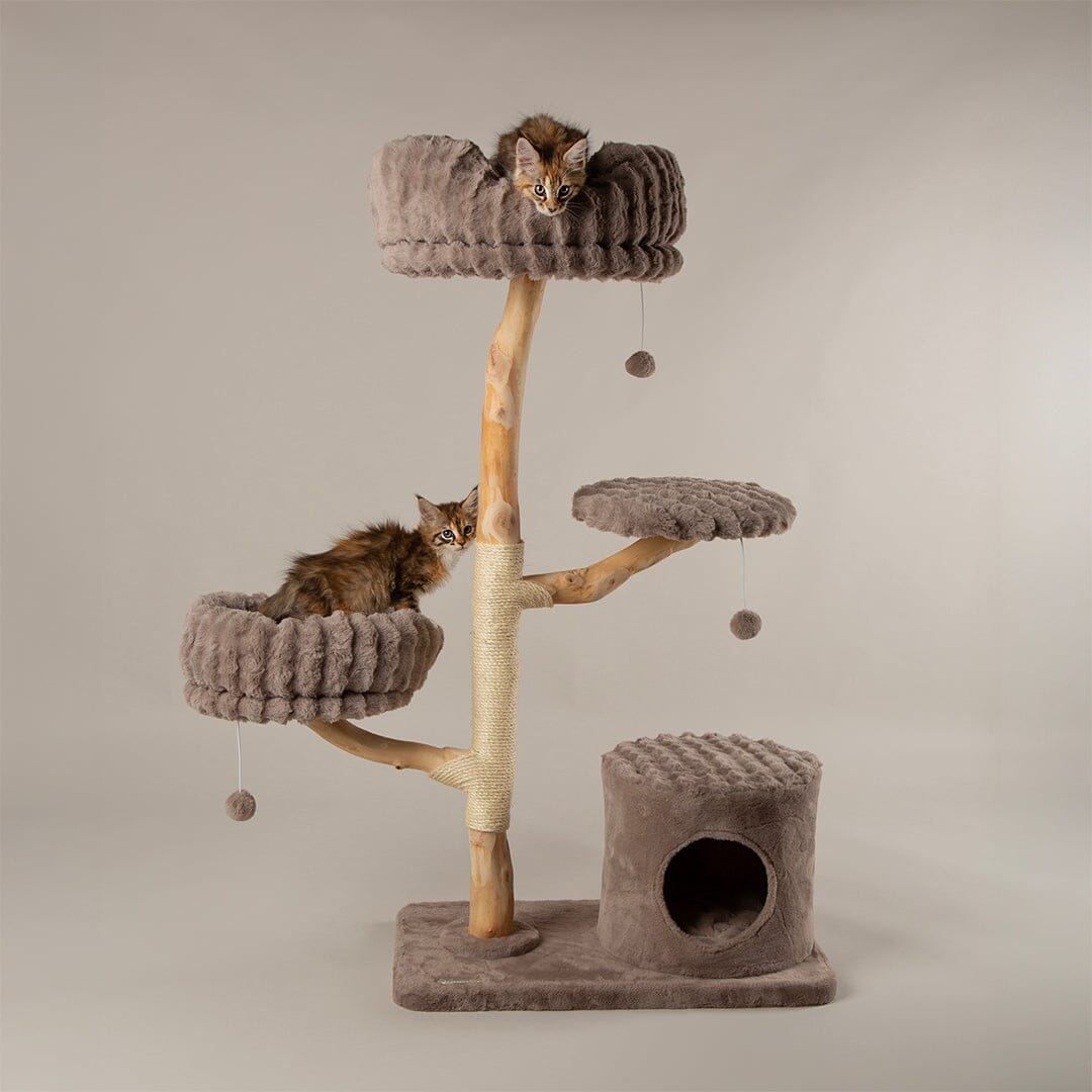 Scruffs Alpine Pyrenees Cat Tree - Taupe