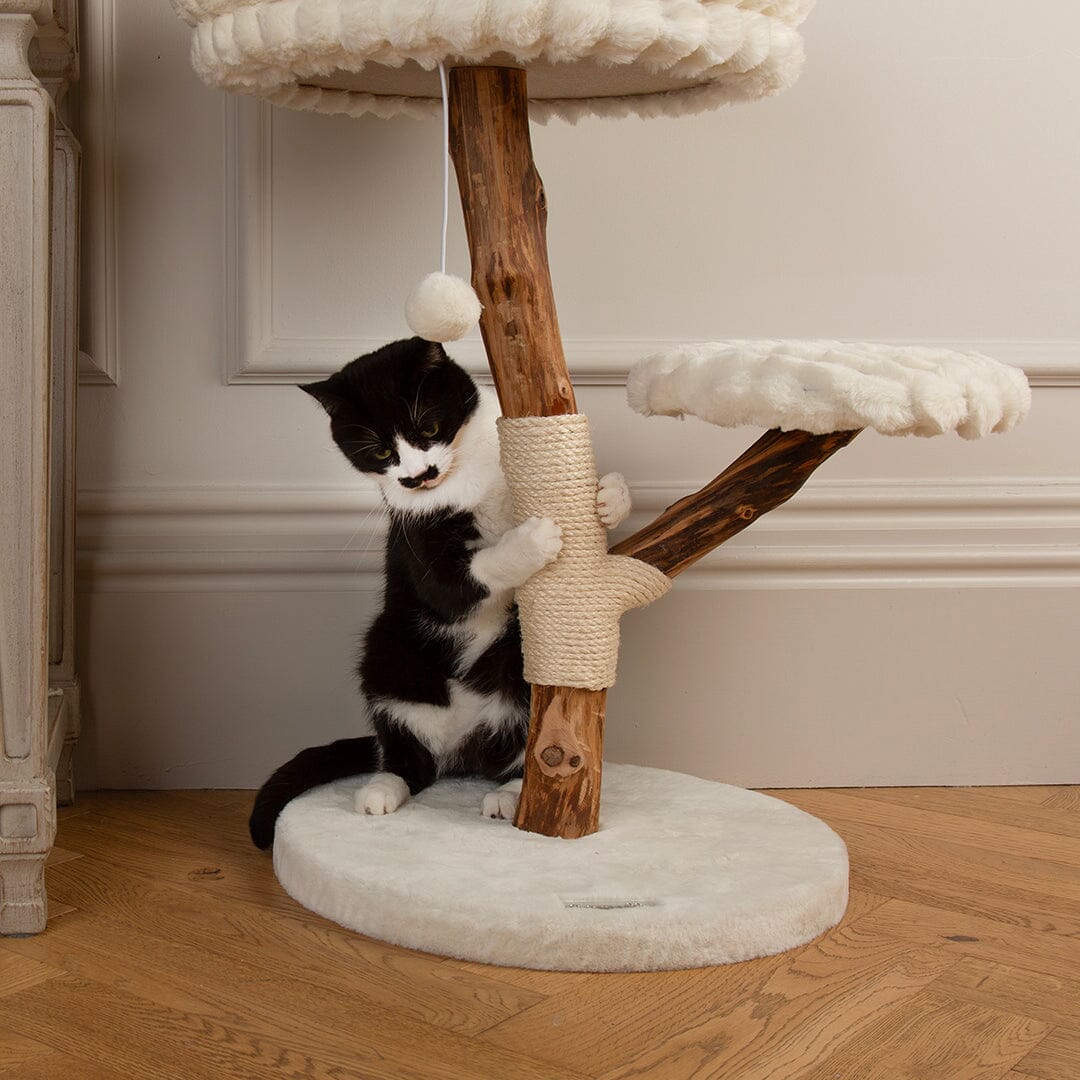 Scruffs Alpine Atlas Cat Tree - Cream