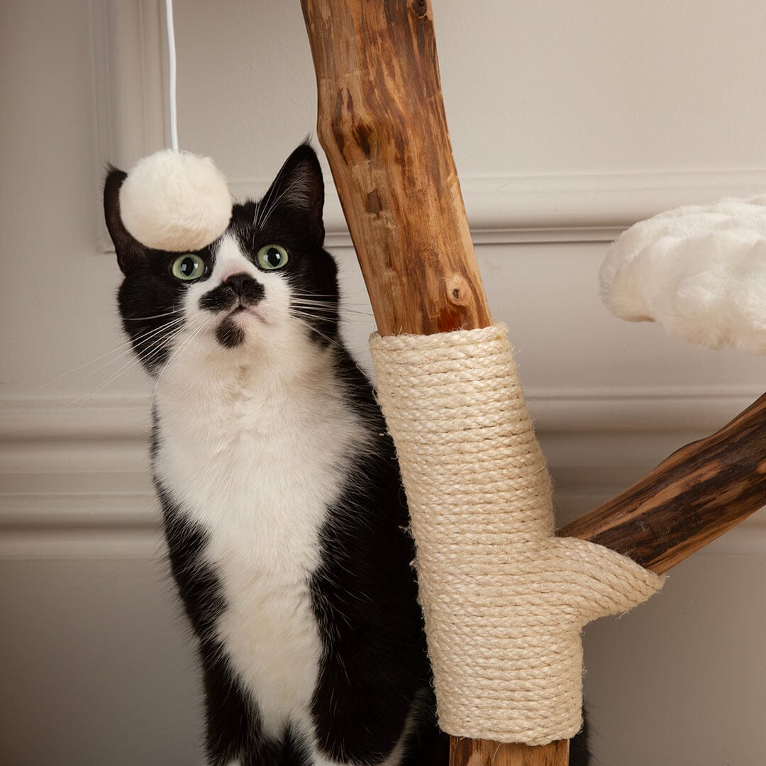 Scruffs Alpine Atlas Cat Tree - Cream