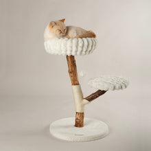 Scruffs Alpine Atlas Cat Tree - Cream