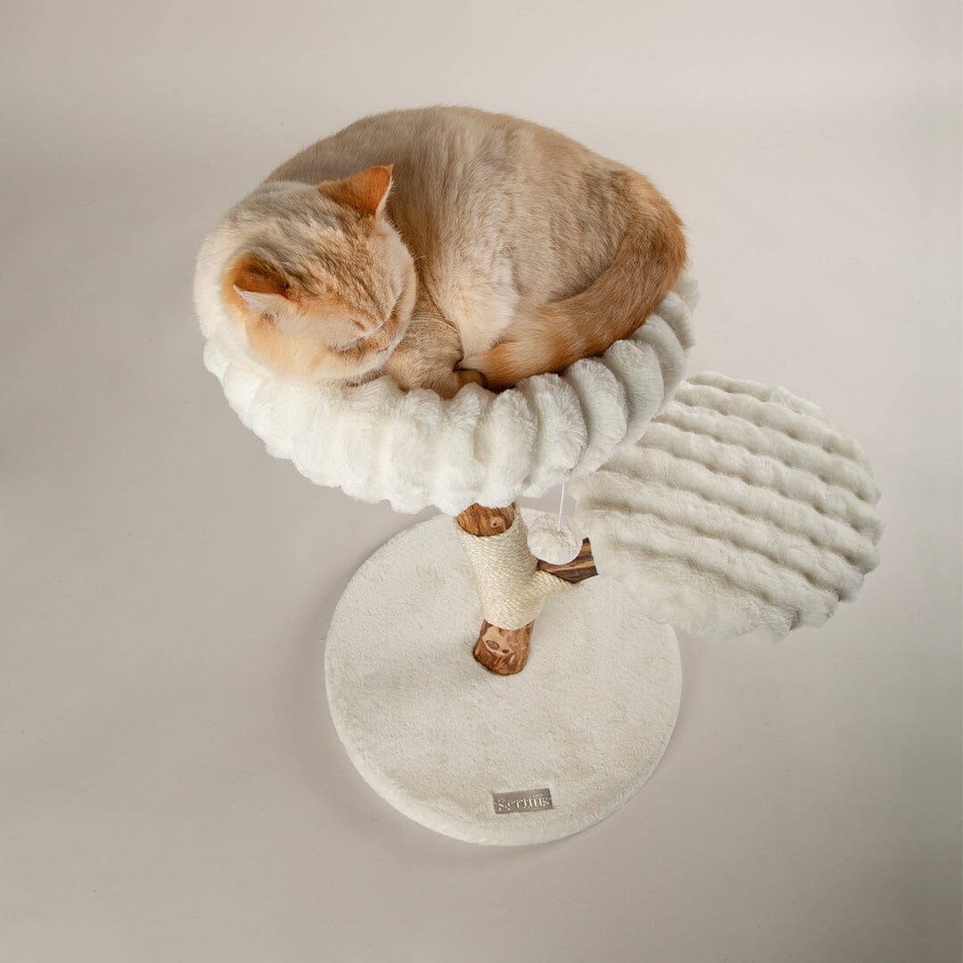 Scruffs Alpine Atlas Cat Tree - Cream