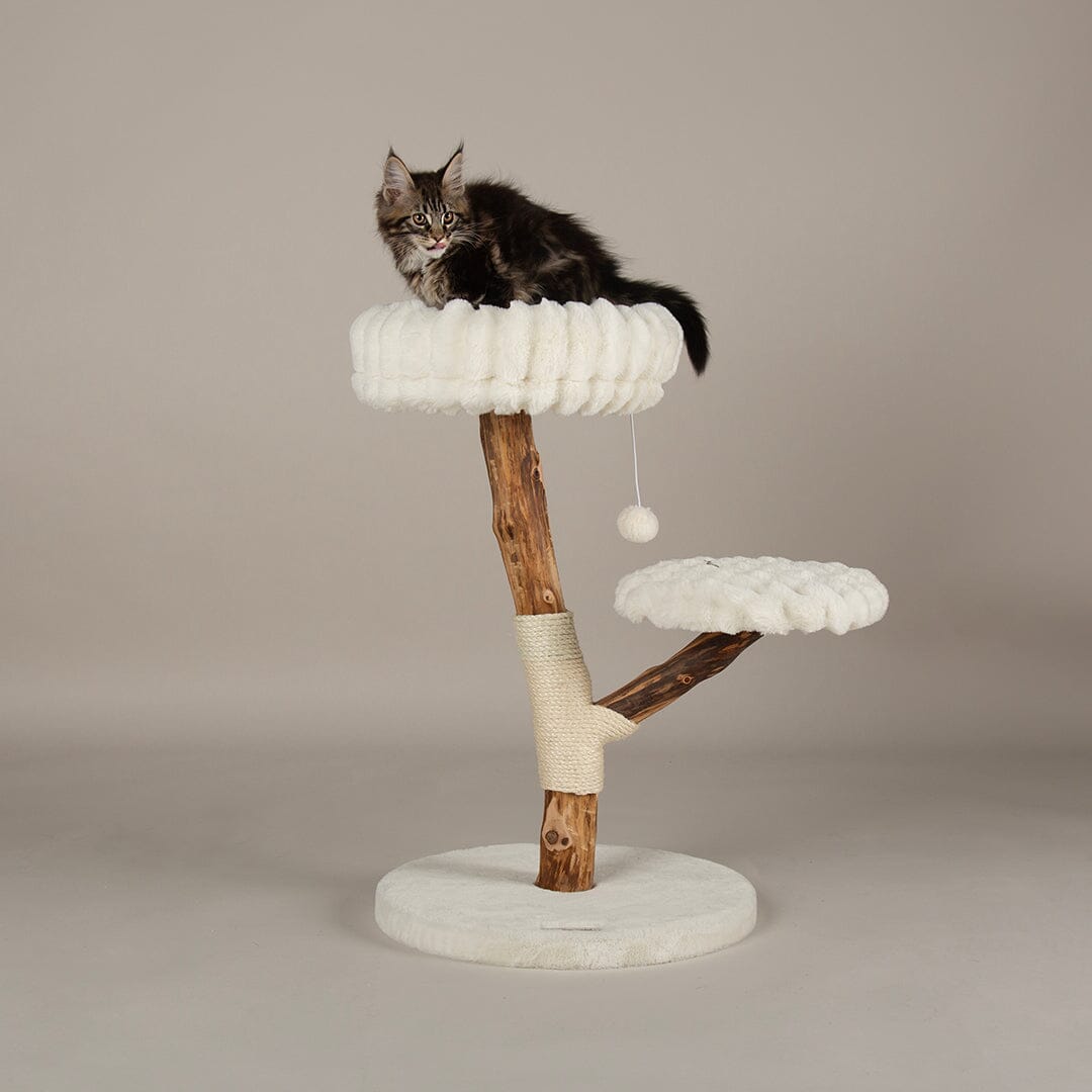 Scruffs Alpine Atlas Cat Tree - Cream