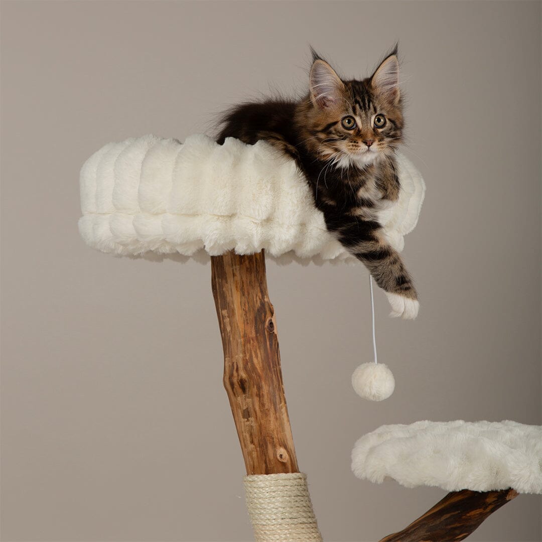 Scruffs Alpine Atlas Cat Tree - Cream