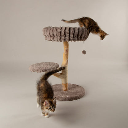 Scruffs Alpine Atlas Cat Tree - Taupe