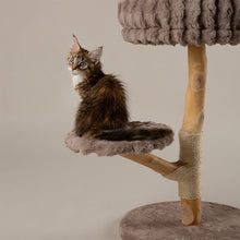Scruffs Alpine Atlas Cat Tree - Taupe