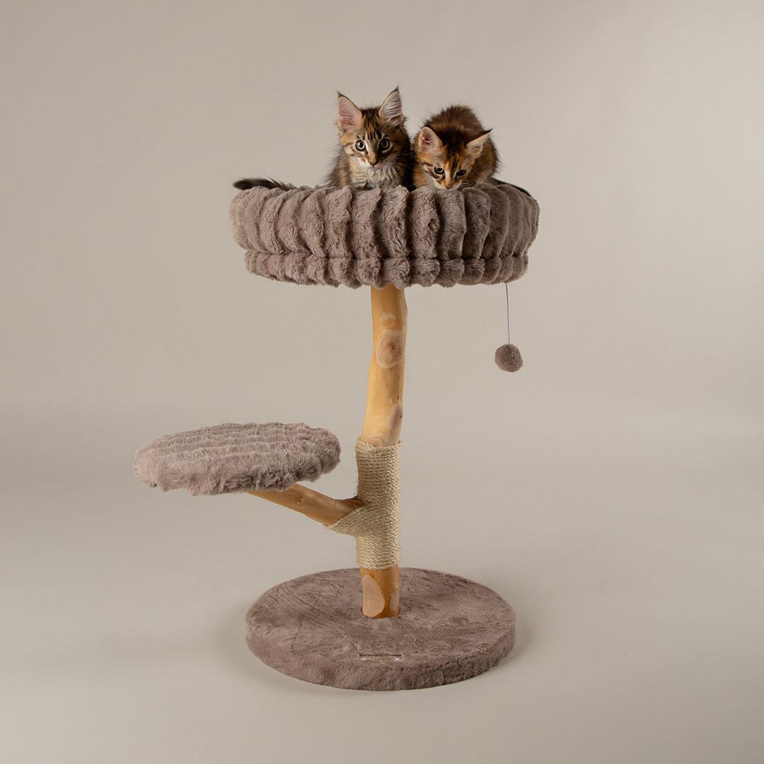 Scruffs Alpine Atlas Cat Tree - Taupe