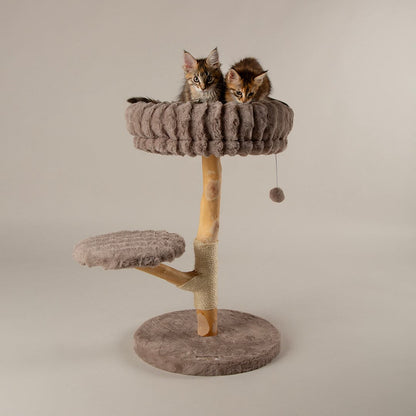 Scruffs Alpine Atlas Cat Tree - Taupe