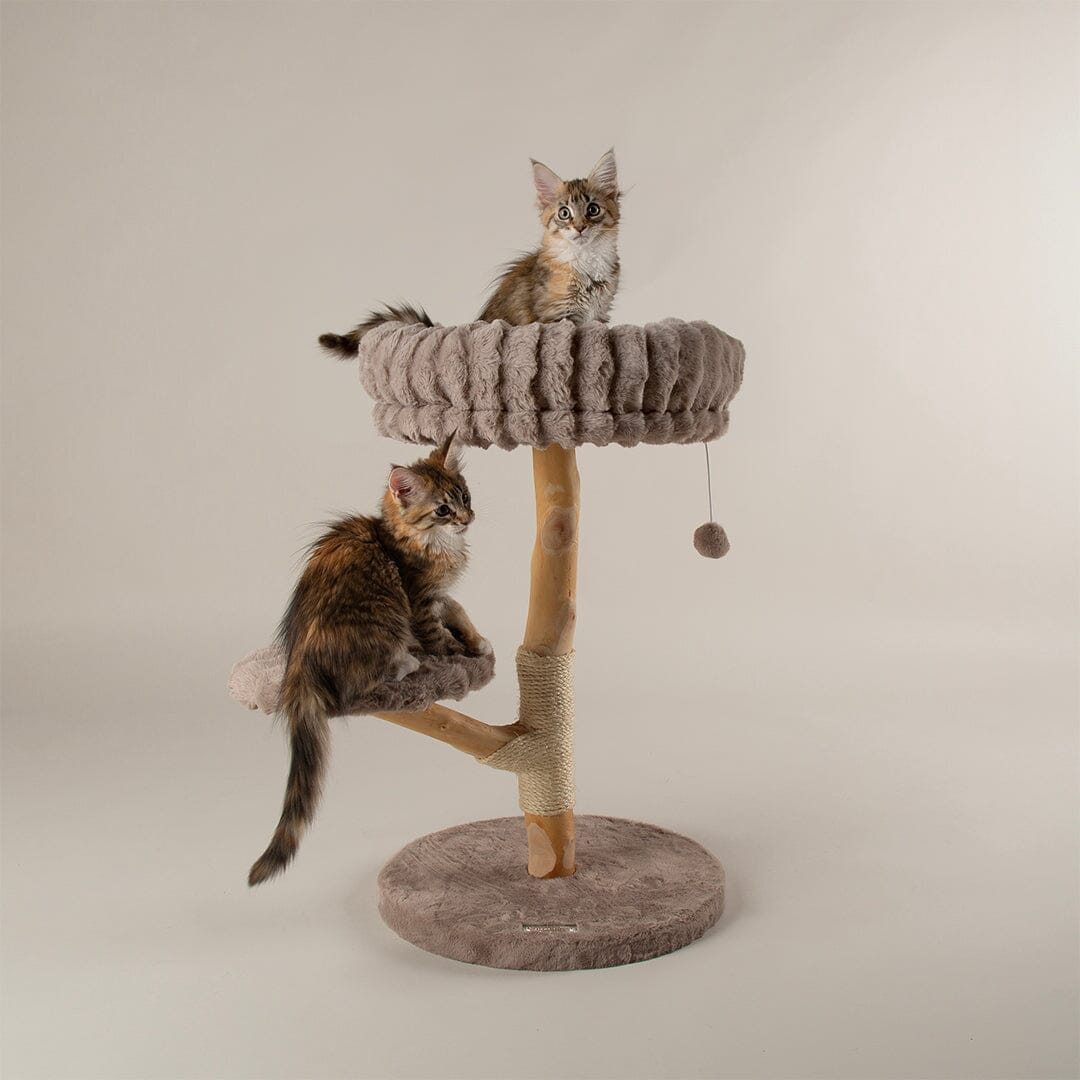 Scruffs Alpine Atlas Cat Tree - Taupe