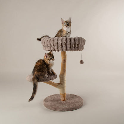 Scruffs Alpine Atlas Cat Tree - Taupe