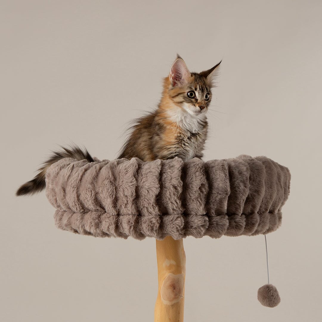 Scruffs Alpine Atlas Cat Tree - Taupe