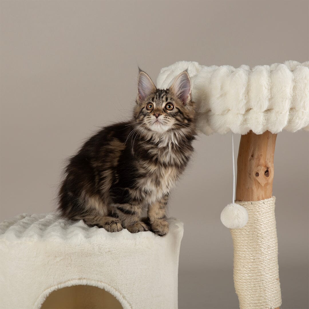 Scruffs Alpine Himalayas Cat Tree - Cream