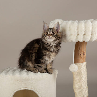 Scruffs Alpine Himalayas Cat Tree - Cream
