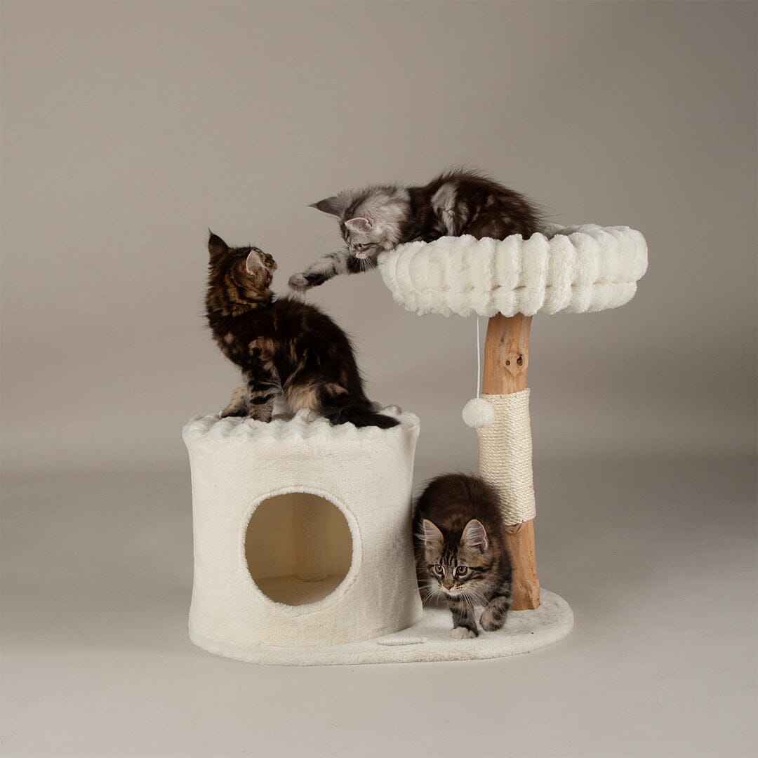 Scruffs Alpine Himalayas Cat Tree - Cream