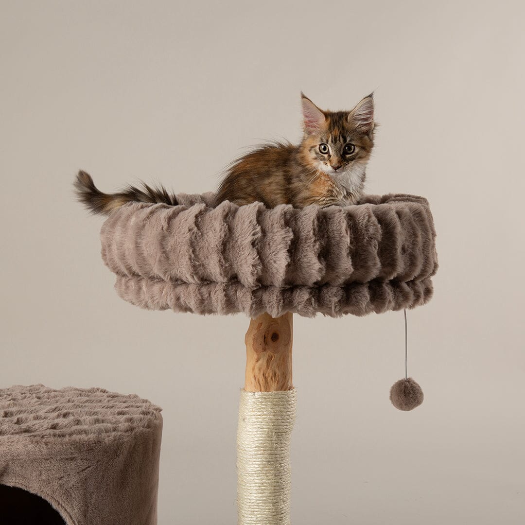 Scruffs Alpine Himalayas Cat Tree - Taupe
