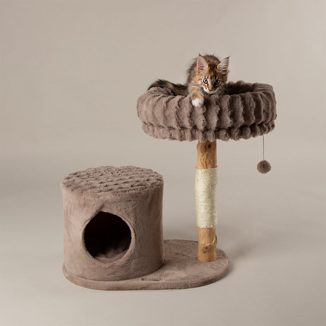 Scruffs Alpine Himalayas Cat Tree - Taupe