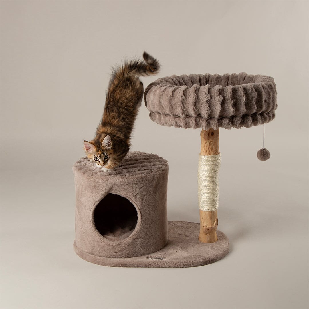 Scruffs Alpine Himalayas Cat Tree - Taupe