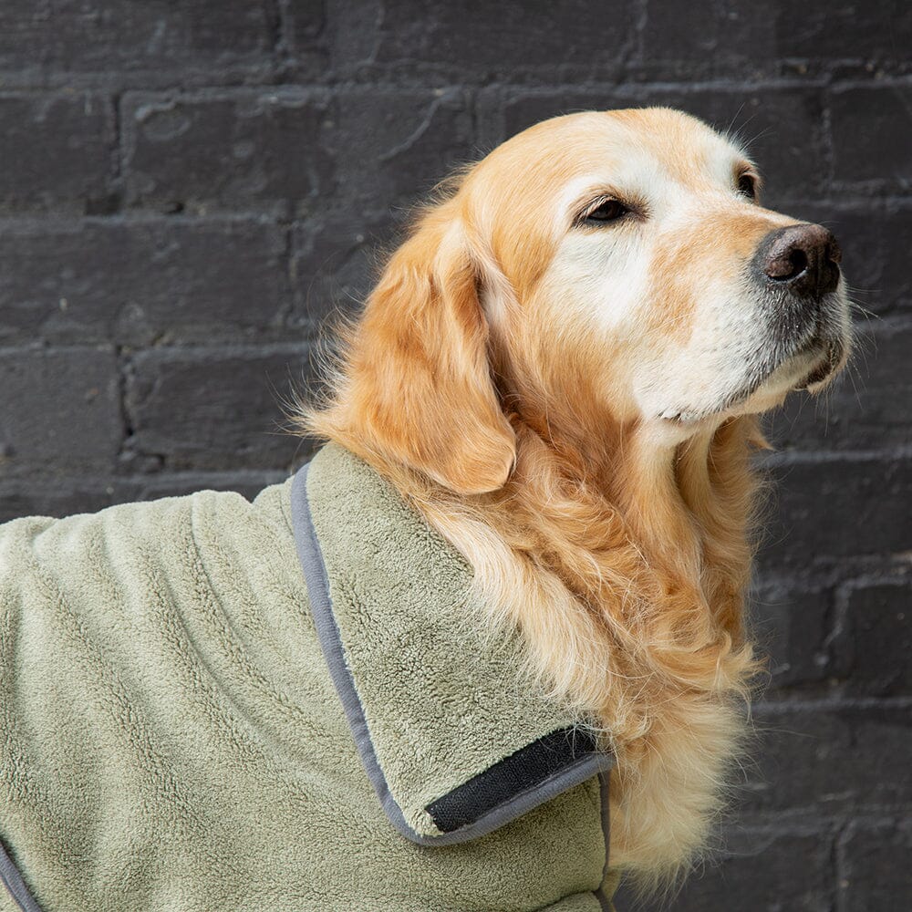 Scruffs Expedition Deluxe Noodle & Microfibre Drying Dog Coat - Khaki Green
