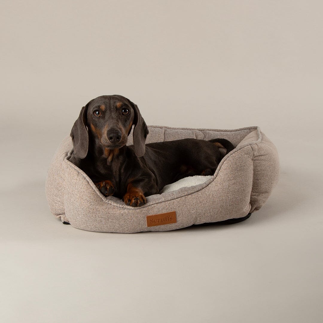 Scruffs Harmony Box Dog Bed - Tan