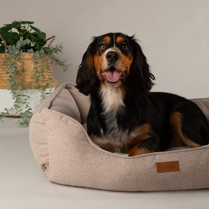 Scruffs Harmony Box Dog Bed - Tan
