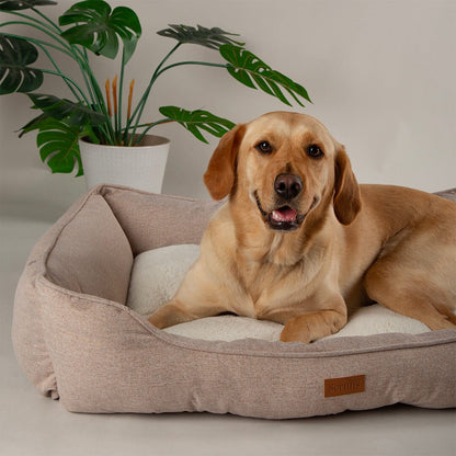 Scruffs Harmony Box Dog Bed - Tan