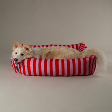 Scruffs Amalfi Striped Box Bed - Pink