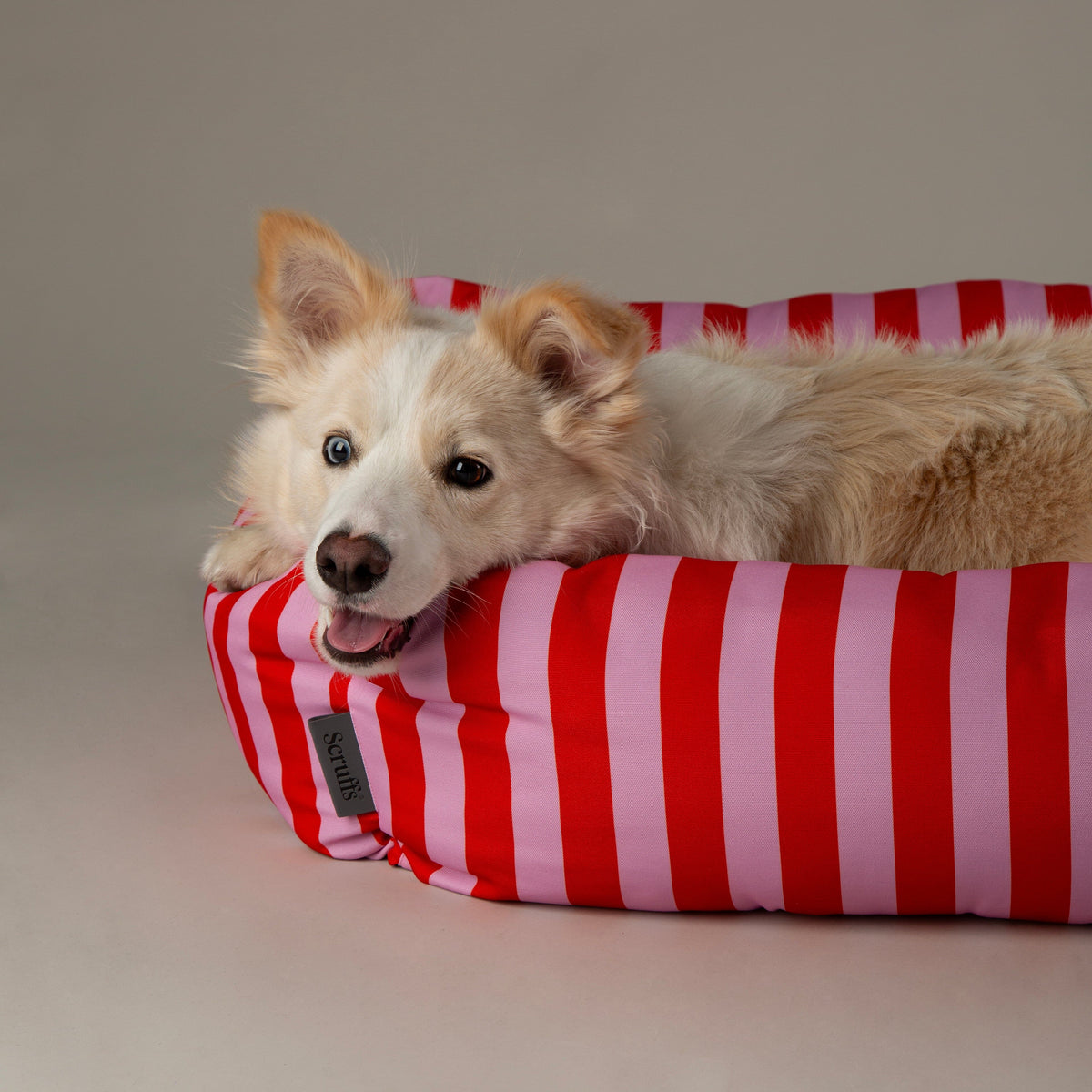 Scruffs Amalfi Striped Box Bed - Pink