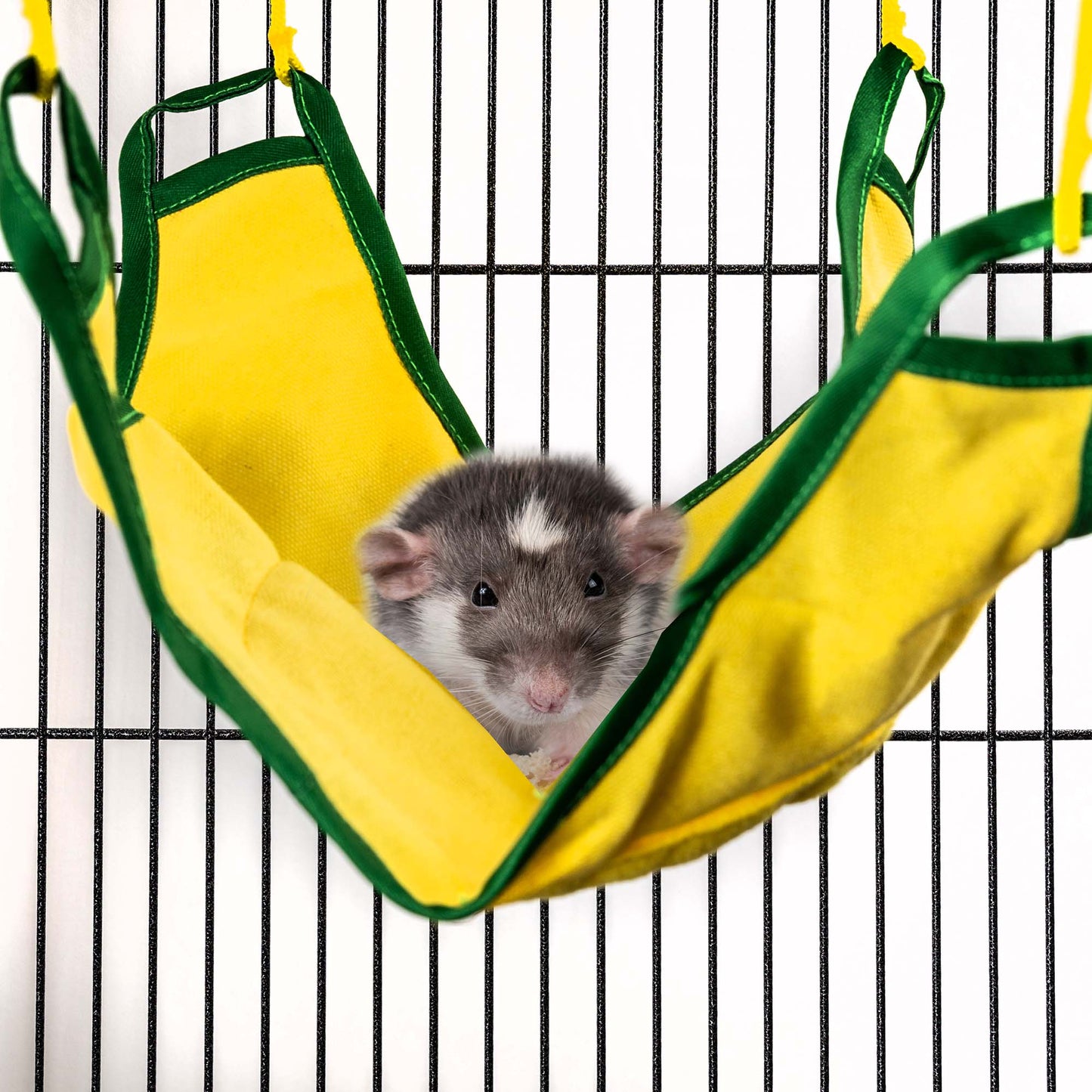 Rat & Ferret Cage by Petplanet