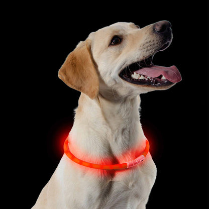 Ancol USB Rechargeable Flashing Dog Collar - Adjustable up to 70cm