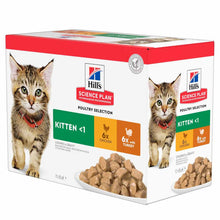 Hills Science Plan Kitten Wet Cat Food in Gravy - Chicken & Turkey – 12x85g Pouches