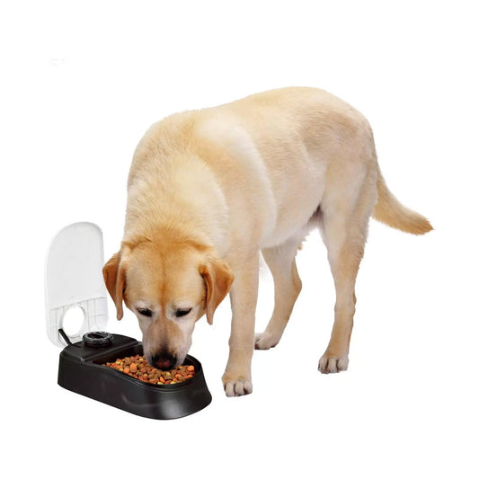 Single Meal Automatic Pet Feeder by Petplanet