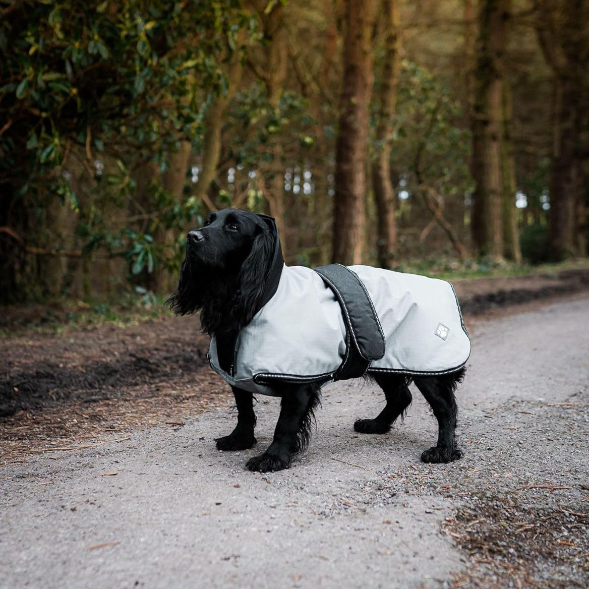 Danish Design 2-in-1 Ultimate Dog Coat Grey - 14in / 35cm