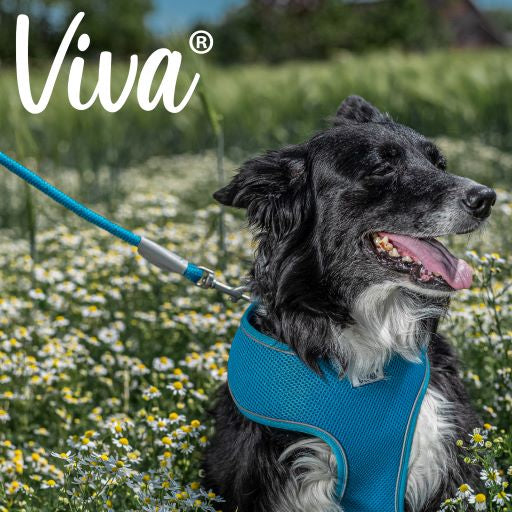 Viva Reflective Rope Dog Lead -Black