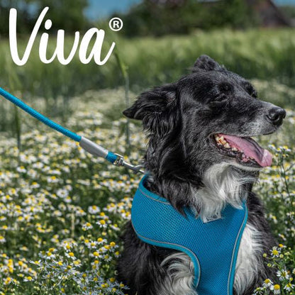 Viva Reflective Rope Dog Lead -Blue