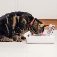 SureFeed Sealed Pet Bowl