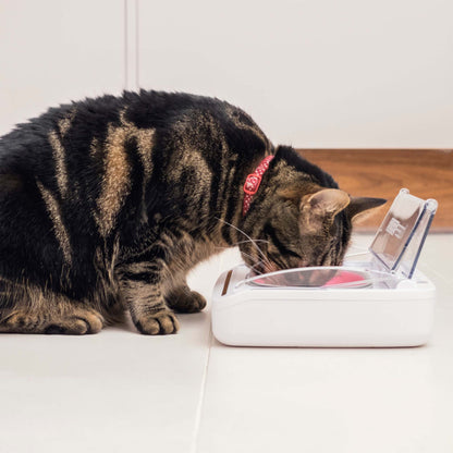 SureFeed Sealed Pet Bowl