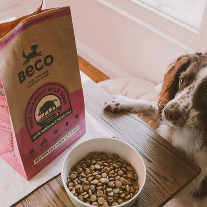 Beco Wild Boar Adult Dry Dog Food