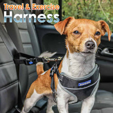 Ancol Travel and Exercise Harness - Small 37-58cm