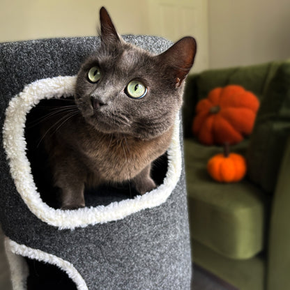 Purrshire Felt Two Level Cat Stool House - 76cm Height