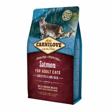 Carnilove Adult Sensitive and Long Hair Grain Free Dry Cat Food - Salmon